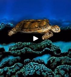 a painting of a turtle swimming in the ocean with corals and seaweed around it