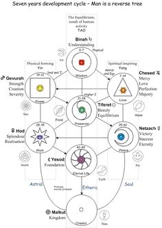 Life Development, Spiritual Background, Tree Of, Life Tree, Spiritual Symbols, Hebrew Words, Spiritual Power, The Tree Of Life