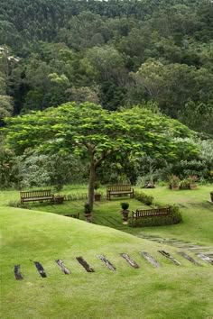 a park with benches and trees in the background, surrounded by lush green grass covered hills