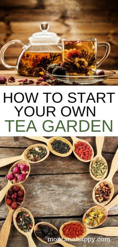 how to start your own tea garden with wooden spoons filled with different types of herbs