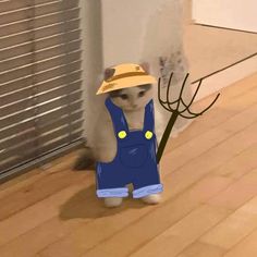 a cat wearing overalls and a hat is standing in front of a wall with a tree