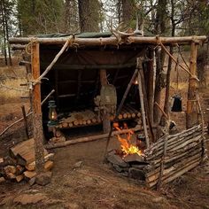 a fire pit in the middle of a forest with logs stacked on top of it