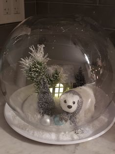 a snow globe with a teddy bear and plants in it sitting on a counter top