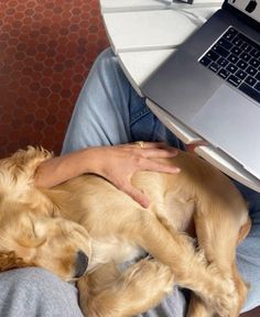 a person sitting on a couch holding a dog