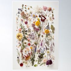 an arrangement of wildflowers and other flowers arranged on a white background poster print