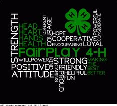 a green four leaf clover with the words airploy 4 - h written below it