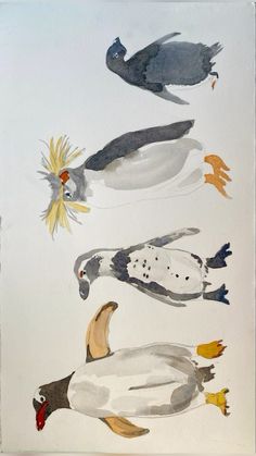 an image of birds painted in watercolor on paper