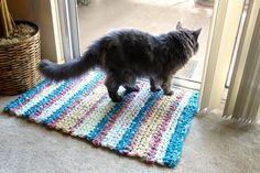 a cat standing on top of a rug next to a door