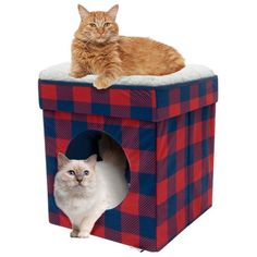 two cats sitting on top of a red and blue checkered cat house