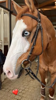 a brown and white horse with blue eyes standing next to a red heart on the ground