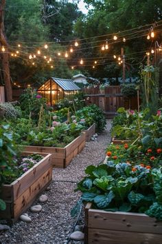 an outdoor garden with lots of plants and lights strung over the area, along with wooden planters