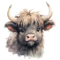 a watercolor painting of a yak with long hair and big horns on it's head