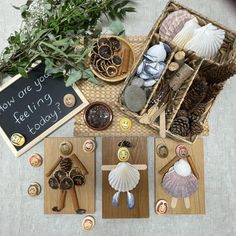 various items are displayed on wooden boards and in baskets, including shells, seashells