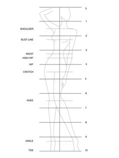 the height chart for a woman's body