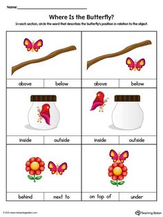 a worksheet with words and pictures to describe the butterfly's life cycle