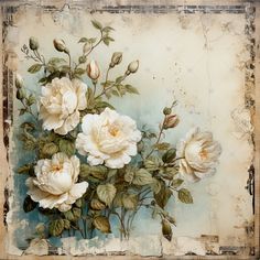 a painting of white flowers with green leaves on an old paper textured background,