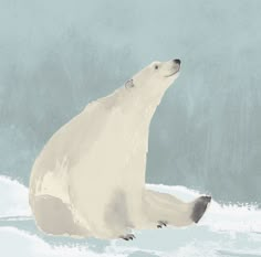 a polar bear is sitting in the snow