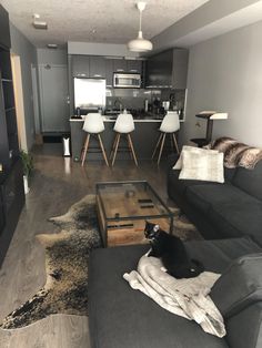 a black cat sitting on top of a couch in a living room next to a table