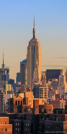 the skyline of new york city with skyscrapers in the background