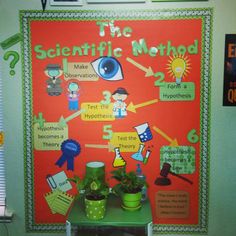 a bulletin board with plants and other things on it