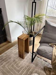 a living room with a chair and a plant