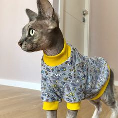 a hairless cat in pajamas standing on the floor