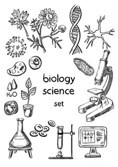 a set of hand drawn doodles on the topic of biology science, including plants and microscopes