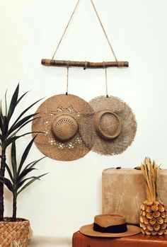 three hats hanging on a wall next to a potted plant and suitcase with pineapples