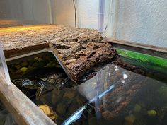 an aquarium with rocks and water in it