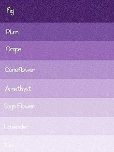 an image of the color purple with different names and colors to choose which one is best for you