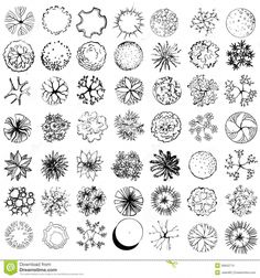 the top view of various trees and plants in black and white, with different shapes