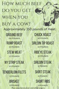 a poster with the words how much beef do you get when you buy a cow?