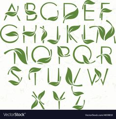 the letters and numbers made from green leaves