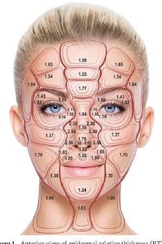 a woman's face with facial lines and numbers on it