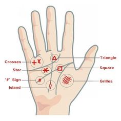 Basic Palm Reading, When To Plant Vegetables, Sweaty Hands, Red Palm, Lower Back Pain Exercises