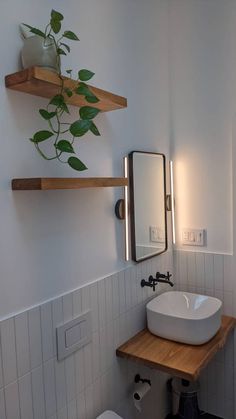 a bathroom with a sink, mirror and plant on the wall above it's counter