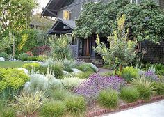 a house with lots of trees and plants in the front yard