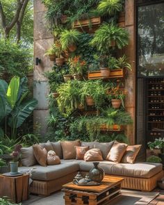 a living room filled with lots of plants and potted plants on the wall next to a couch