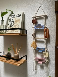 two shelves with various items on them against a wall next to a potted plant