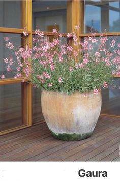 pink flowers are in a large pot on the deck outside an open door with glass panes