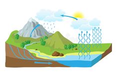 the water cycle is shown in this diagram