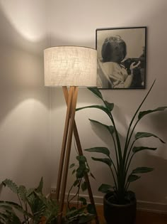 a lamp that is next to a potted plant and a picture on the wall