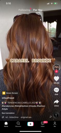 Brown Hair Inspo, Hair Color Caramel, Brunette Hair With Highlights, Ginger Hair Color, Hair Color And Cut, Hair Inspiration Color, Good Hair Day, Hair Inspo Color