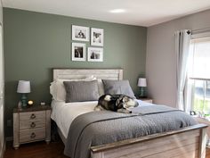 a large dog laying on top of a bed in a bedroom next to a window