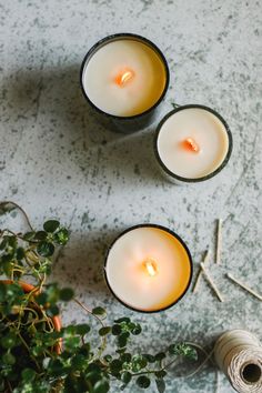 three candles sitting on top of a table next to a potted plant and thread