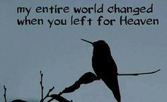 a bird sitting on top of a tree branch next to a quote that reads, my entire world changed when you left for heaven