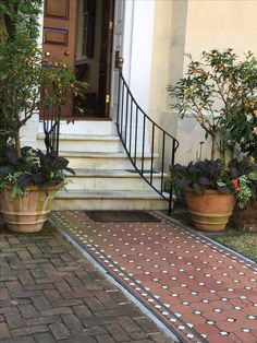 two potted plants are sitting on the front steps of a house with an iron railing