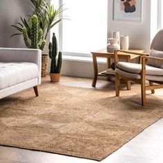 a living room filled with furniture and plants