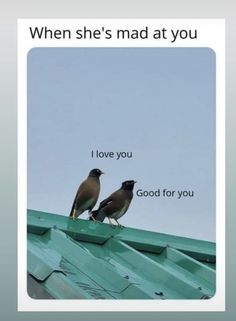 two birds sitting on top of a roof with the caption, when she's mad at you i love you good for you