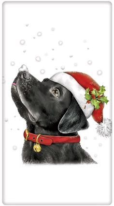 a black dog wearing a santa hat with holly berries on it's collar and nose